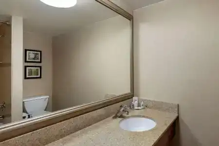 Comfort Inn Lansing West - 36