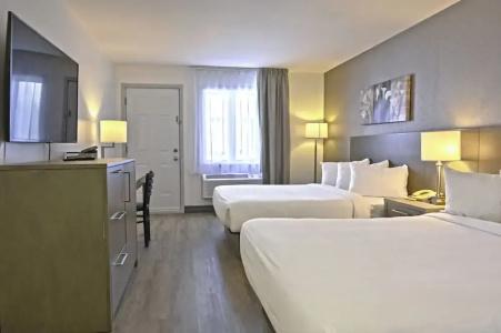 Repotel Levis - 23