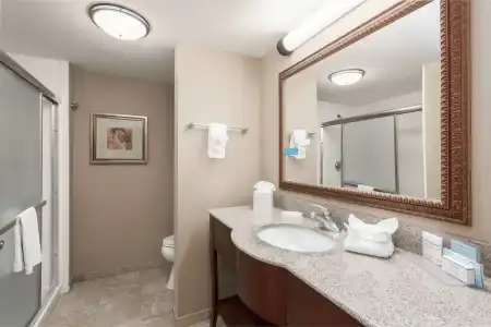 Hampton Inn Branson - Branson Hills - 8