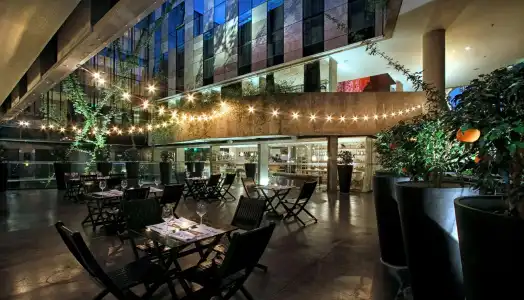 Anselmo Buenos Aires Curio Collection By Hilton - 48