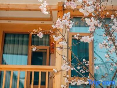 Route Inn Yatsushiro - 50