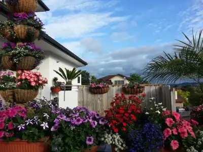 Lush & Co Auckland Bed & Breakfast - 41