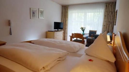 Sonnleiten-Rupert - Aparthotel - 30