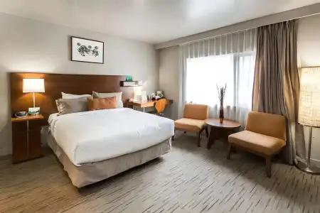 The Juniper - 37