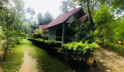 Haad Khuad Resort - 121