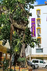 otel durkaya - 33