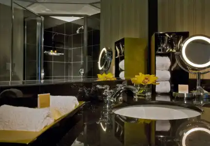 Grand Hyatt DFW - Connected to the airport - 6
