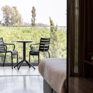 Aliathon Ionian - 12