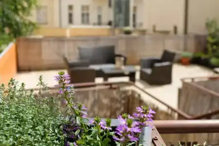 Mordecai Twelve Apartments by Adrez Living - 48