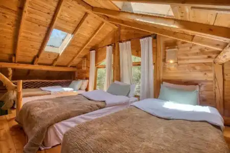 Babakamp Eco Ranch & Retreat - 23