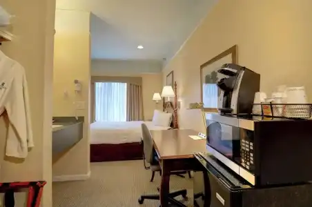 Senator Inn & Spa - 86