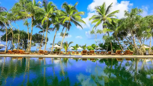 Pandanus Beach Resort & Spa Resort - 28