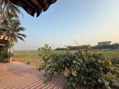 Beach Garden - 61