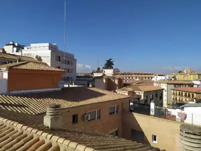 Cedrán - 22