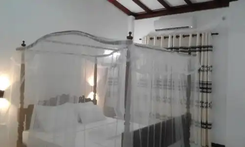 Ocean View - 41