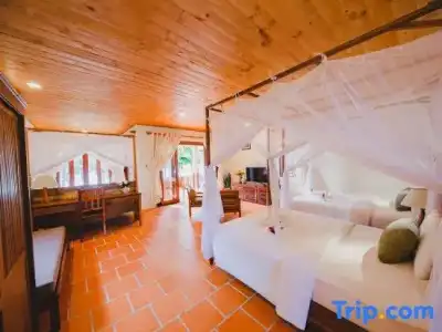 Thanh Kieu Beach Resort - 204