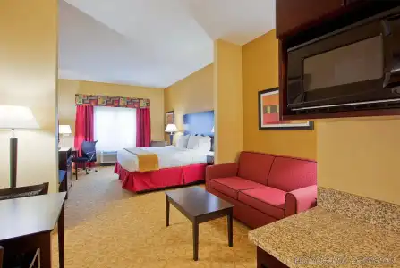 Holiday Inn Express Pensacola West - Navy Base by IHG - 4