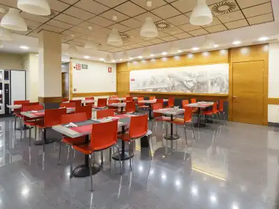 Condes de Haro - 19