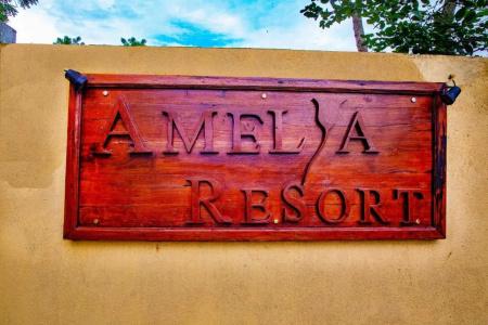 Amelia Resort - 29