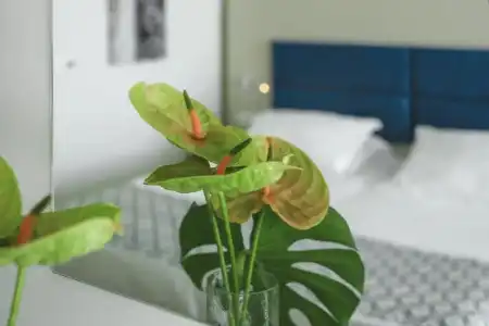 Romana Beach Apartments - 78
