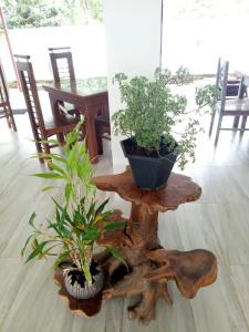 Saman Resort - 42