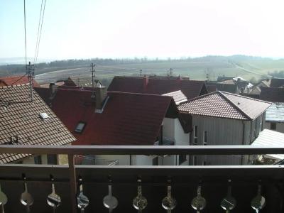 Gasthof Zum Ross - 43