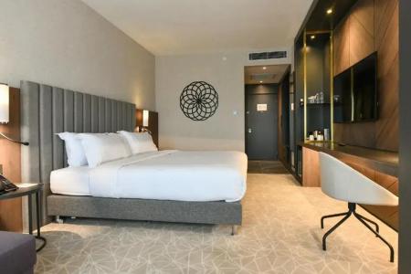 Crowne Plaza ANKARA by IHG - 20
