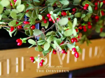 The Devereux Boutique - 8