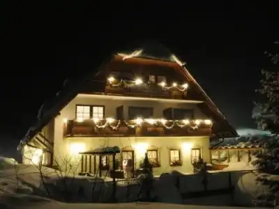 Höhengasthof Grüner Baum - 17