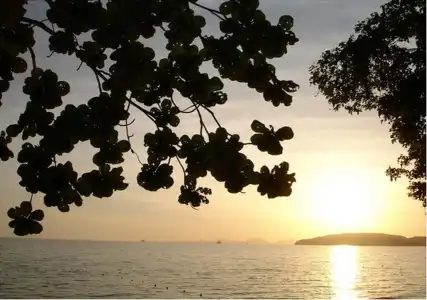 Ao Nang Beach Resort - 15