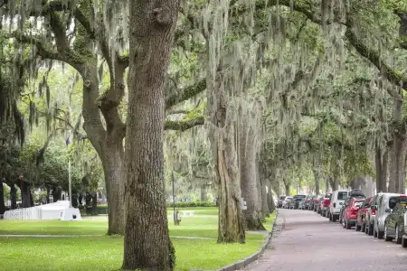 Olde Harbour Inn, Historic Inns of Savannah. - 89