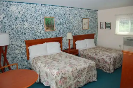 Sara Glen Motel - Saratoga Springs-Glens Falls - 41