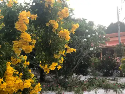 At Sichon Resort - 9