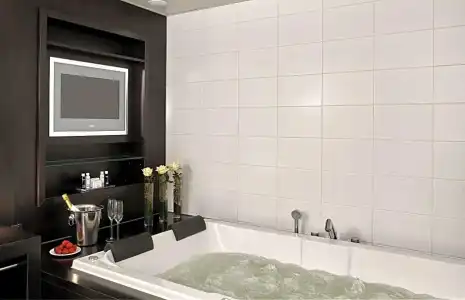 Park Plaza Eindhoven - 57