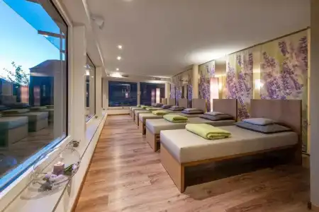 Baumgartner's Blumenhotel - 2