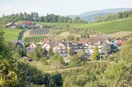 Hotel-Gasthof Rose - 34
