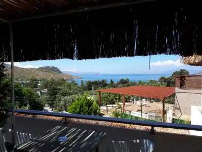 Blue Point - 10