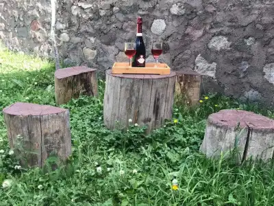 Crystal Kazbegi - 24