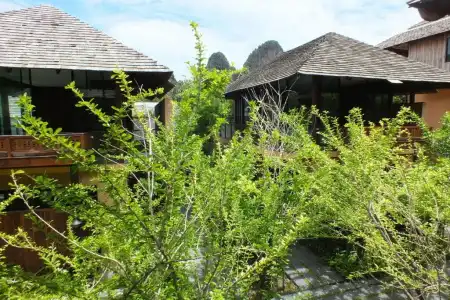 Avatar Railay Resort (SHA Plus+) - 60