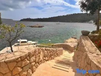 Bozica - 228
