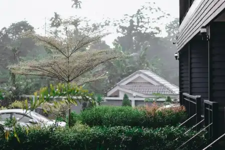Hillside Premium - 17