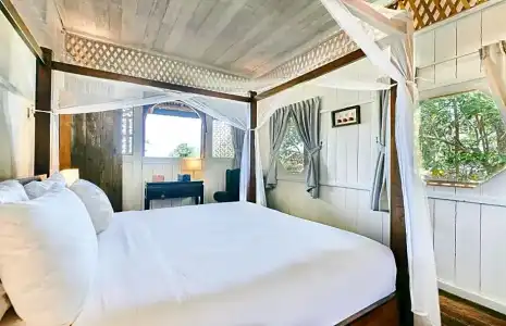 Temple Tree Resort - 223