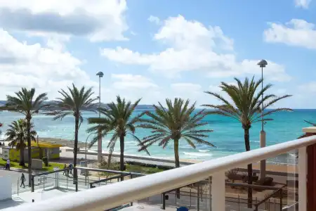 Universal Neptuno - Adults Only - 22