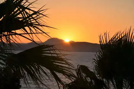 Costa Angela - 16