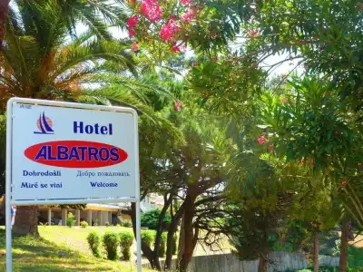 Corpus B - Albatros - 6