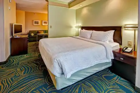 SpringHill Suites Marriott Norfolk Old Dominion University - 28