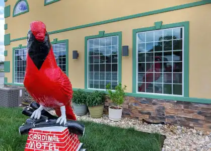 Cardinal Motel - 10