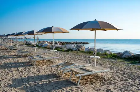 Club Del Sole Stork Family Collection - 16