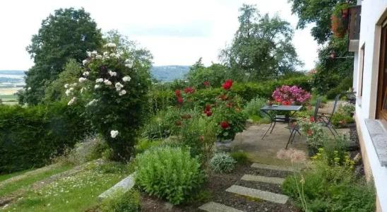 Pension Schöpke - 20