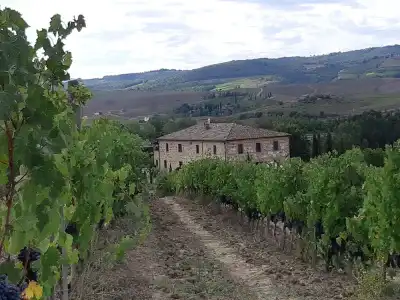 Cordella in Montalcino Wine Resort - 16